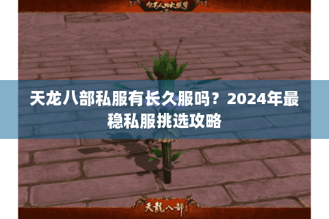 天龙八部私服有长久服吗?2024年最稳私服挑选攻略 天龙八部私服有长久服吗?2024年最稳私服挑选攻略