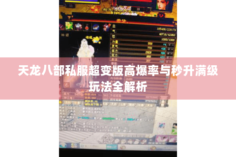 天龙八部私服超变版高爆率与秒升满级玩法全解析