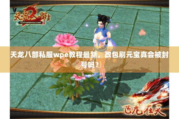 天龙八部私服wpe教程最新,改包刷元宝真会被封号吗? 天龙八部私服wpe教程最新,改包刷元宝真会被封号吗?