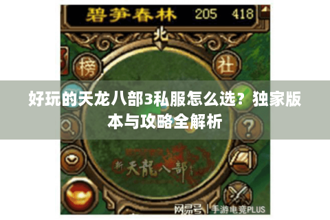 好玩的天龙八部3私服怎么选？独家版本与攻略全解析