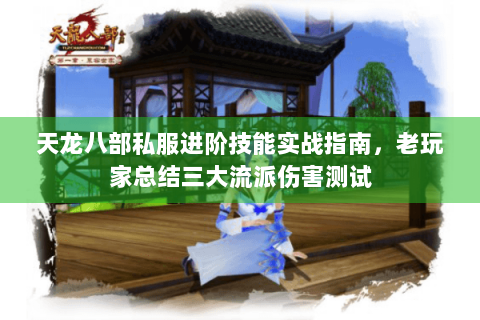 天龙八部私服进阶技能实战指南，老玩家总结三大流派伤害测试