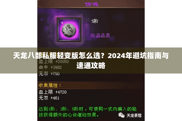 天龙八部私服轻变版怎么选？2024年避坑指南与速通攻略
