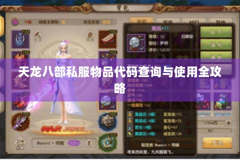 天龙八部私服物品代码查询与使用全攻略