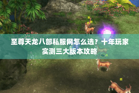 至尊天龙八部私服网怎么选?十年玩家实测三大版本攻略 至尊天龙八部私服网怎么选?十年玩家实测三大版本攻略
