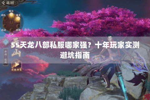 55天龙八部私服哪家强?十年玩家实测避坑指南 55天龙八部私服哪家强?十年玩家实测避坑指南