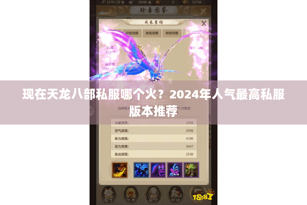 现在天龙八部私服哪个火？2024年人气最高私服版本推荐