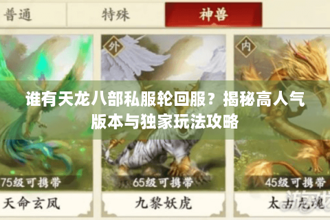 谁有天龙八部私服轮回服？揭秘高人气版本与独家玩法攻略