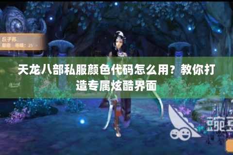 天龙八部私服颜色代码怎么用？教你打造专属炫酷界面