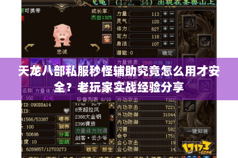 天龙八部私服秒怪辅助究竟怎么用才安全?老玩家实战经验分享 天龙八部私服秒怪辅助究竟怎么用才安全?老玩家实战经验分享