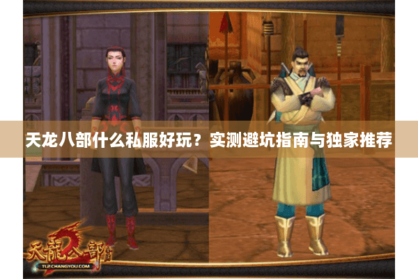 天龙八部什么私服好玩?实测避坑指南与独家推荐 天龙八部什么私服好玩?实测避坑指南与独家推荐