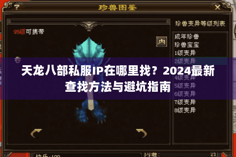 天龙八部私服IP在哪里找?2024最新查找方法与避坑指南 天龙八部私服IP在哪里找?2024最新查找方法与避坑指南