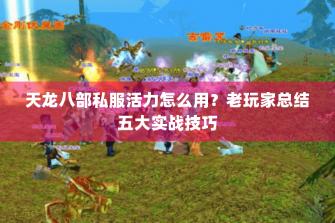 天龙八部私服活力怎么用?老玩家总结五大实战技巧 天龙八部私服活力怎么用?老玩家总结五大实战技巧