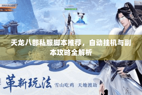 天龙八部私服脚本推荐,自动挂机与副本攻略全解析 天龙八部私服脚本推荐,自动挂机与副本攻略全解析