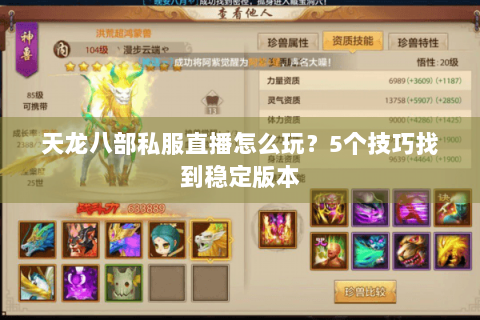 天龙八部私服直播怎么玩？5个技巧找到稳定版本