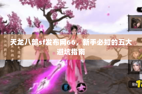 天龙八部sf发布网66，新手必知的五大避坑指南