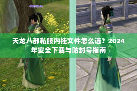 天龙八部私服内挂文件怎么选？2024年安全下载与防封号指南