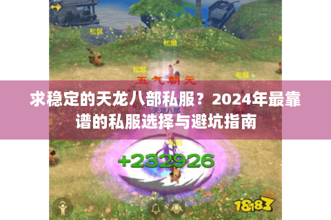 求稳定的天龙八部私服？2024年最靠谱的私服选择与避坑指南