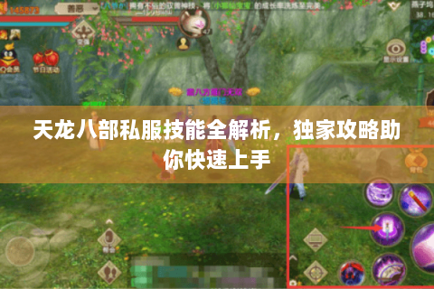 天龙八部私服技能全解析,独家攻略助你快速上手 天龙八部私服技能全解析,独家攻略助你快速上手