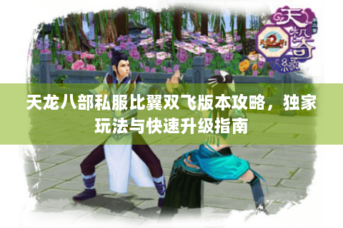 天龙八部私服比翼双飞版本攻略，独家玩法与快速升级指南