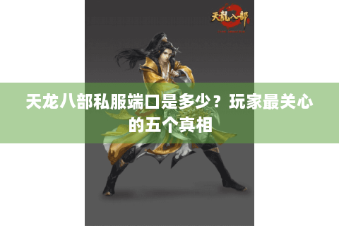 天龙八部私服端口是多少？玩家最关心的五个真相