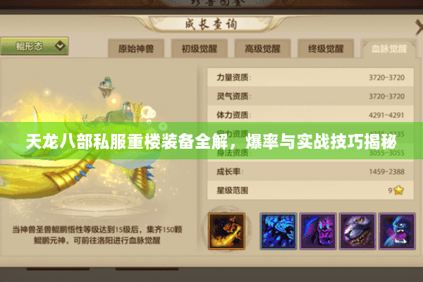 天龙八部私服重楼装备全解,爆率与实战技巧揭秘 天龙八部私服重楼装备全解,爆率与实战技巧揭秘