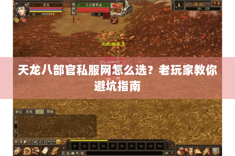 天龙八部官私服网怎么选？老玩家教你避坑指南