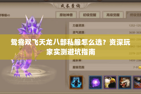 鸳鸯双飞天龙八部私服怎么选？资深玩家实测避坑指南
