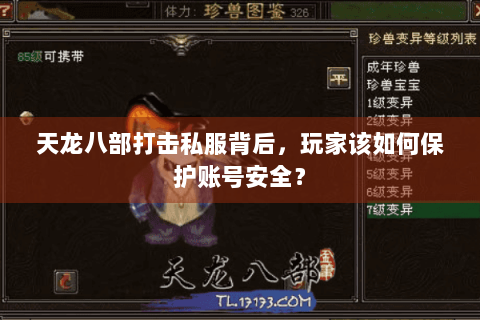 天龙八部打击私服背后,玩家该如何保护账号安全? 天龙八部打击私服背后,玩家该如何保护账号安全?