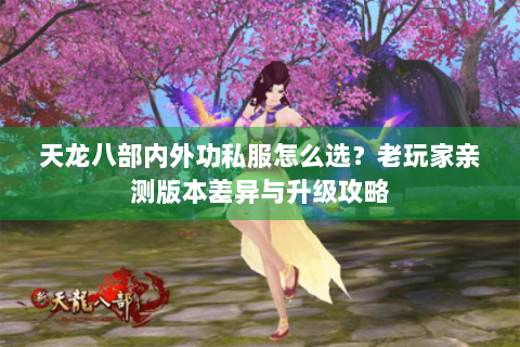 天龙八部内外功私服怎么选？老玩家亲测版本差异与升级攻略