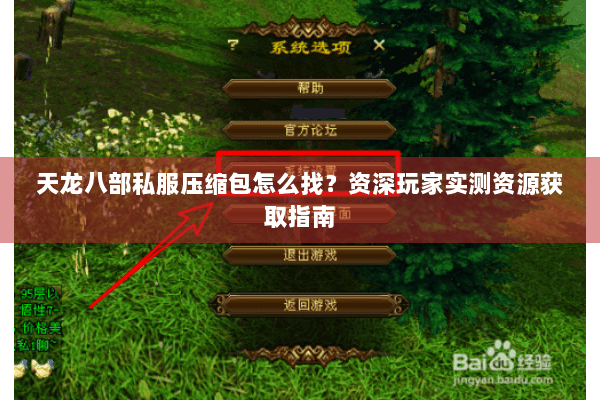 天龙八部私服压缩包怎么找？资深玩家实测资源获取指南