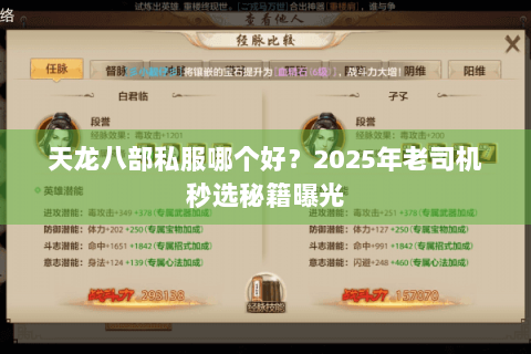 天龙八部私服哪个好？2025年老司机秒选秘籍曝光