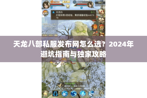 天龙八部私服发布网怎么选？2024年避坑指南与独家攻略