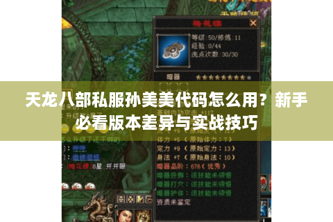 天龙八部私服孙美美代码怎么用?新手必看版本差异与实战技巧 天龙八部私服孙美美代码怎么用?新手必看版本差异与实战技巧