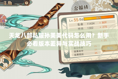 天龙八部私服孙美美代码怎么用?新手必看版本差异与实战技巧 天龙八部私服孙美美代码怎么用?新手必看版本差异与实战技巧