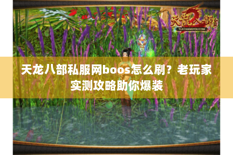 天龙八部私服网boos怎么刷？老玩家实测攻略助你爆装