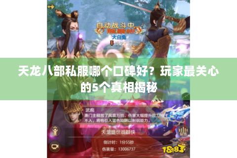 天龙八部私服哪个口碑好？玩家最关心的5个真相揭秘