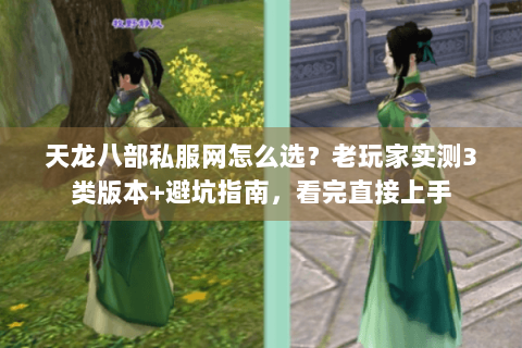 天龙八部私服网怎么选?老玩家实测3类版本+避坑指南,看完直接上手 天龙八部私服网怎么选?老玩家实测3类版本+避坑指南,看完直接上手