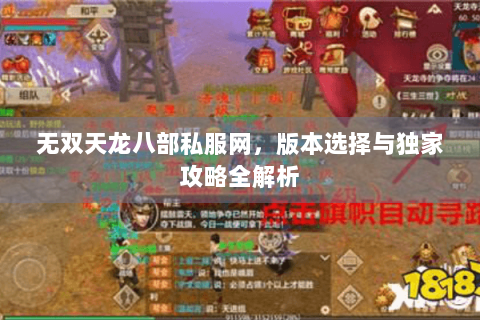无双天龙八部私服网，版本选择与独家攻略全解析