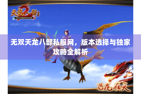 无双天龙八部私服网，版本选择与独家攻略全解析