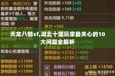 天龙八部sf,湖北十堰玩家最关心的10大问题全解析 天龙八部sf,湖北十堰玩家最关心的10大问题全解析