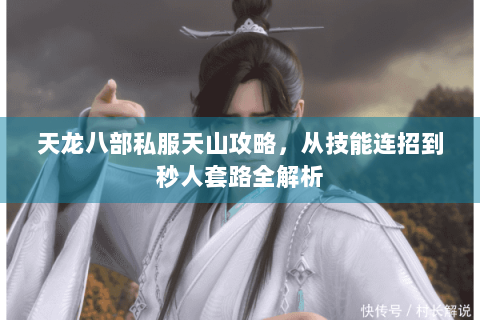 天龙八部私服天山攻略，从技能连招到秒人套路全解析