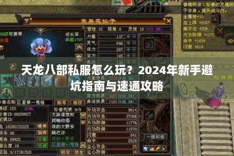 天龙八部私服怎么玩？2024年新手避坑指南与速通攻略