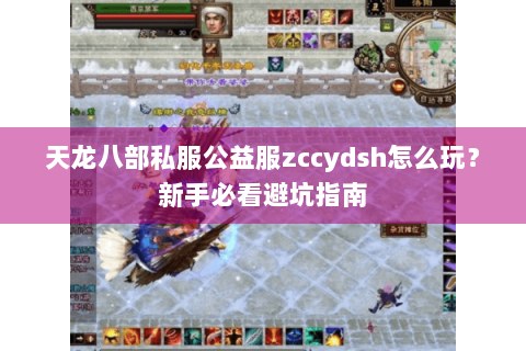 天龙八部私服公益服zccydsh怎么玩?新手必看避坑指南 天龙八部私服公益服zccydsh怎么玩?新手必看避坑指南