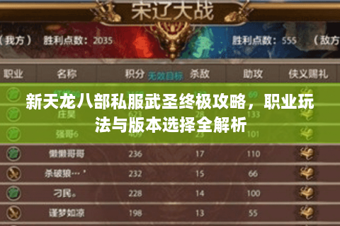 新天龙八部私服武圣终极攻略,职业玩法与版本选择全解析 新天龙八部私服武圣终极攻略,职业玩法与版本选择全解析