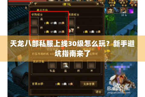 天龙八部私服上线30级怎么玩？新手避坑指南来了