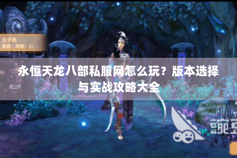 永恒天龙八部私服网怎么玩?版本选择与实战攻略大全 永恒天龙八部私服网怎么玩?版本选择与实战攻略大全