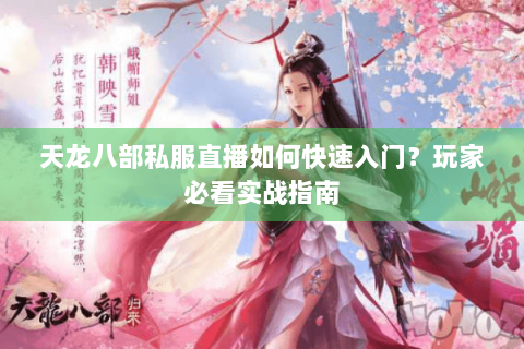天龙八部私服直播如何快速入门？玩家必看实战指南