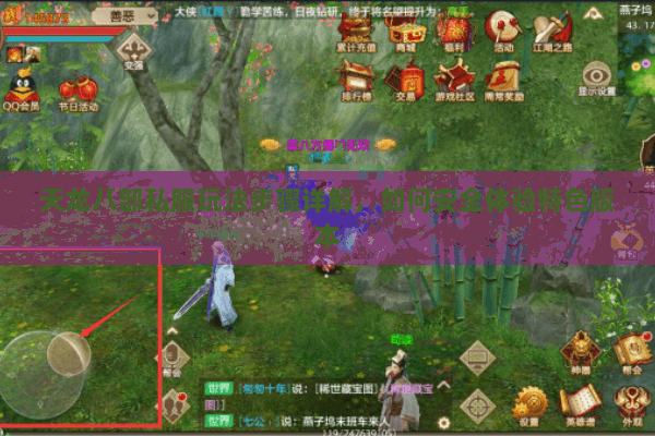 天龙八部私服玩法步骤详解,如何安全体验特色版本 天龙八部私服玩法步骤详解,如何安全体验特色版本