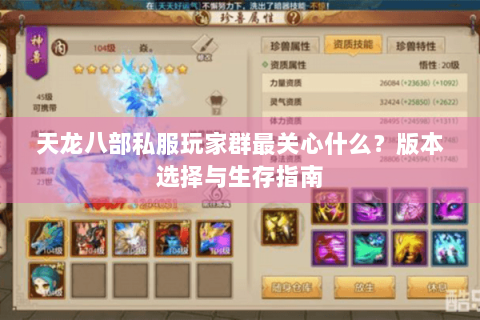 天龙八部私服玩家群最关心什么？版本选择与生存指南