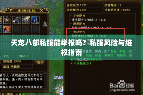 天龙八部私服能举报吗？私服风险与维权指南